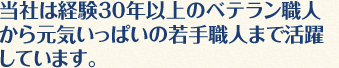 当社は経験30年以上のベテラン職人から元気いっぱいの若手職人まで活躍しています。