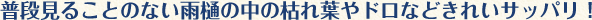 普段見ることのない雨樋の中の枯れ葉やドロなどきれいサッパリ！